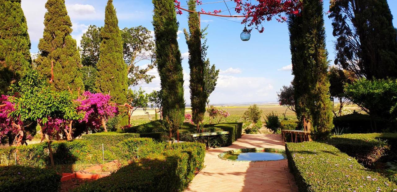 Cortijo El Triguero N-398 Ctra Carmona - El Viso Del Alcor Km 18 Villa Ngoại thất bức ảnh