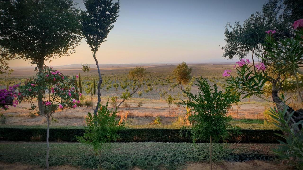 Cortijo El Triguero N-398 Ctra Carmona - El Viso Del Alcor Km 18 Villa Ngoại thất bức ảnh