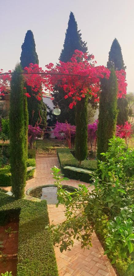 Cortijo El Triguero N-398 Ctra Carmona - El Viso Del Alcor Km 18 Villa Ngoại thất bức ảnh
