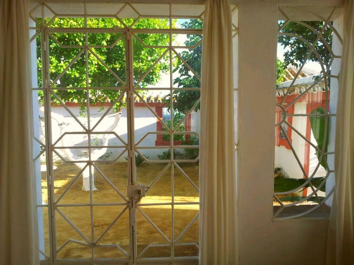 Cortijo El Triguero N-398 Ctra Carmona - El Viso Del Alcor Km 18 Villa Ngoại thất bức ảnh